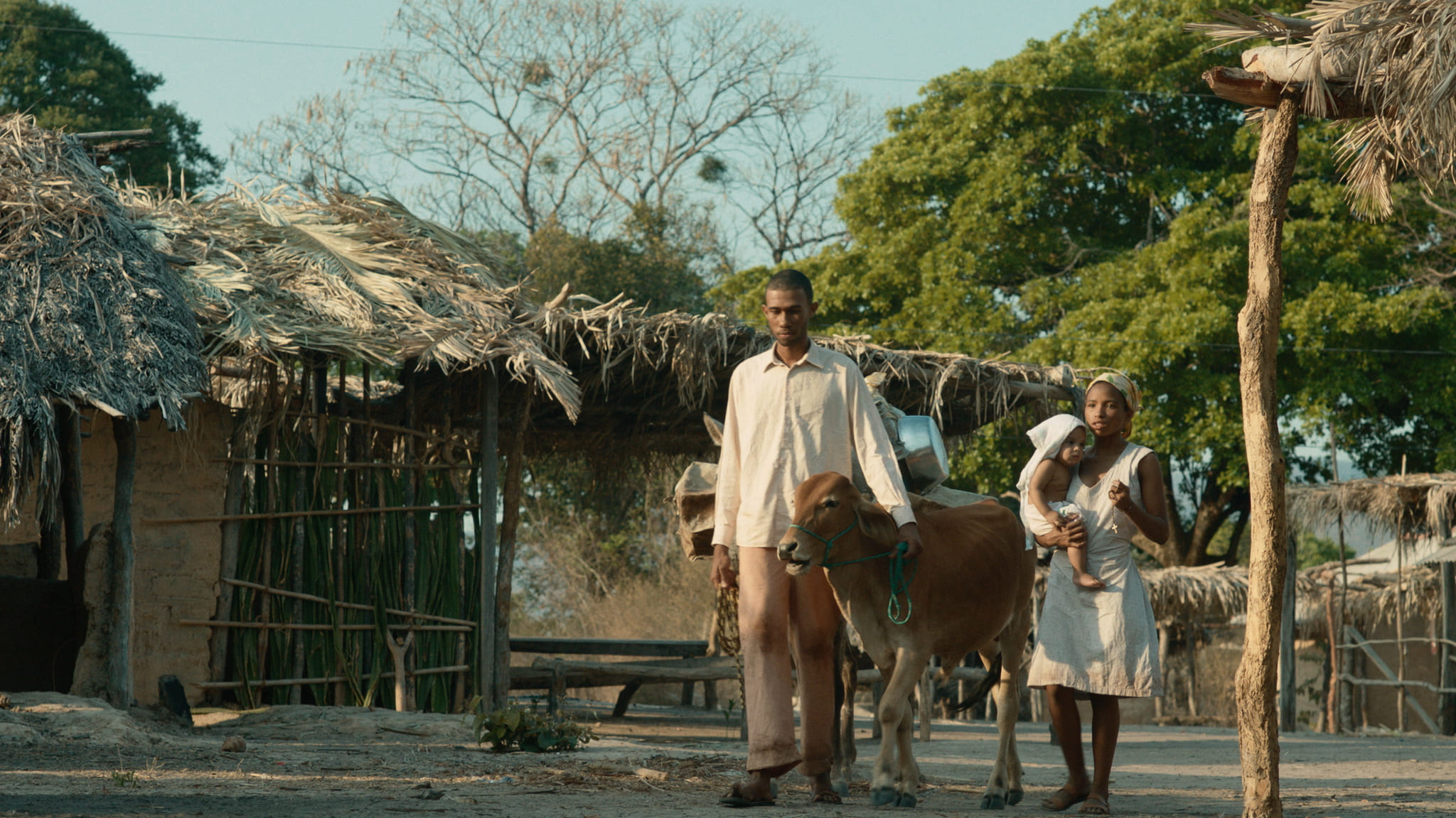 Homem vestindo camisa branca e calça marrom claro segura uma vaca com uma corda verde. Ao lado, uma mulher segura um bebê pequeno nos braços. Eles estão em uma área rural com construções de madeira e palha ao fundo, cercados por árvores.